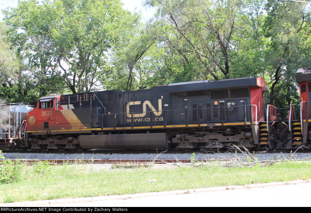 CN 3831